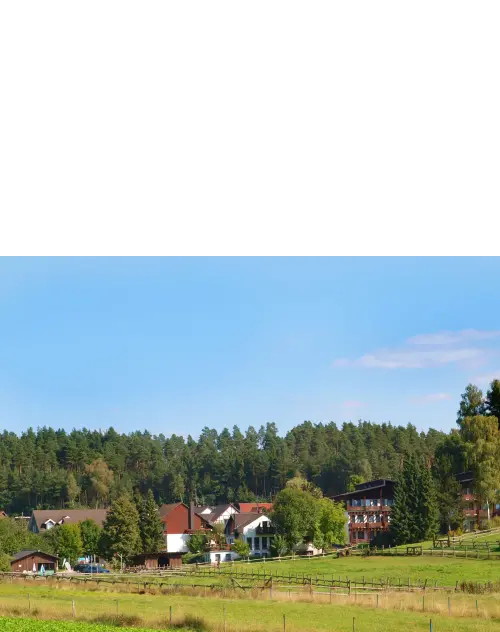 Waldhotel B&auml;chlein